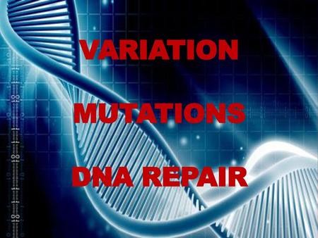 Variation Mutations DNA repair