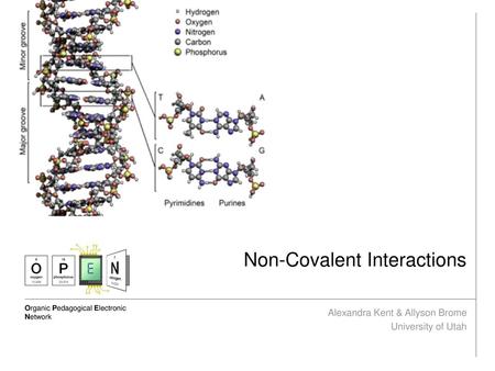 Non-Covalent Interactions