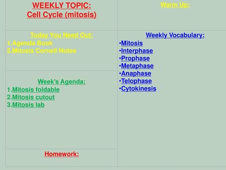 WEEKLY TOPIC: Cell Cycle (mitosis) Warm Up: Today You Need Out: