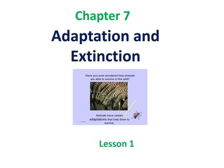 Adaptation and Extinction