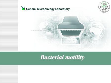 Bacterial motility.