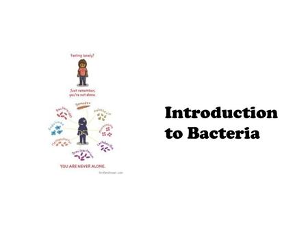 Introduction to Bacteria