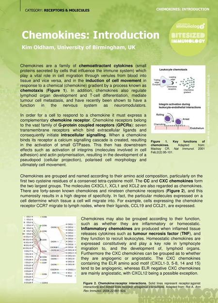 Chemokines: Introduction