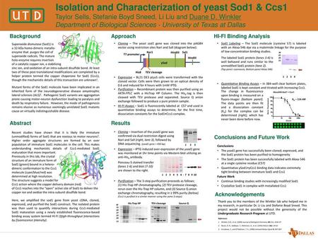 Isolation and Characterization of yeast Sod1 & Ccs1