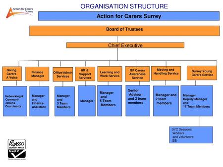 ORGANISATION STRUCTURE