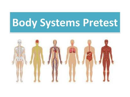 Body Systems Pretest.