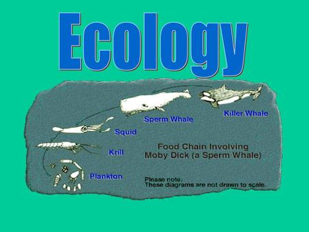 Ecology.