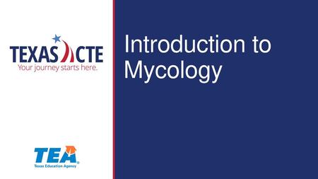 Introduction to   Mycology