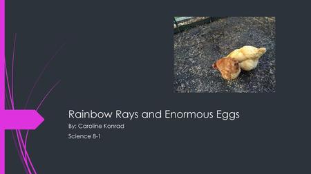 Rainbow Rays and Enormous Eggs