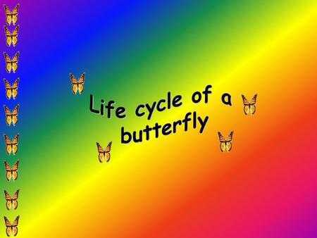 Life cycle of a butterfly.