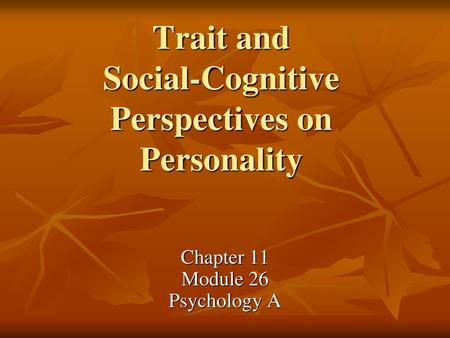 Trait and Social-Cognitive Perspectives on Personality