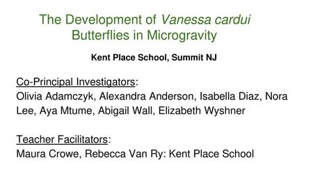 The Development of Vanessa cardui Butterflies in Microgravity