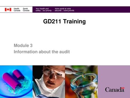 Module 3 Information about the audit