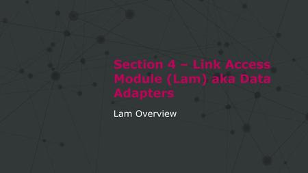 Section 4 – Link Access Module (Lam) aka Data Adapters