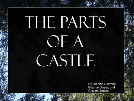 The Parts of a Castle By Jeanine Reeman, Brianne Dwyer, and Cristina Trezza.