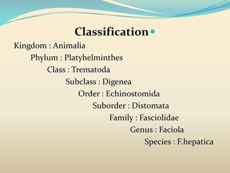 Classification Kingdom : Animalia Phylum : Platyhelminthes