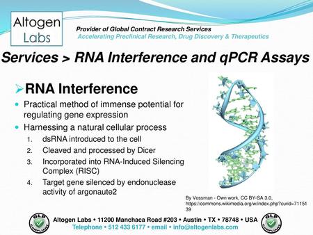 Telephone  512 433 6177  email  info@altogenlabs.com Provider of Global Contract Research Services Accelerating Preclinical Research, Drug Discovery.