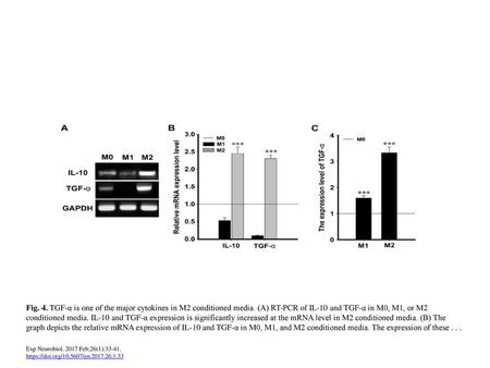 Fig. 4. TGF-α is one of the major cytokines in M2 conditioned media