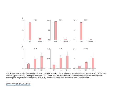 Fig. 1. Increased levels of mesenchymal stem cell (MSC) markers in the adipose tissue-derived multipotent MSCs (ASCs) and contact hypersensitivity. (A)