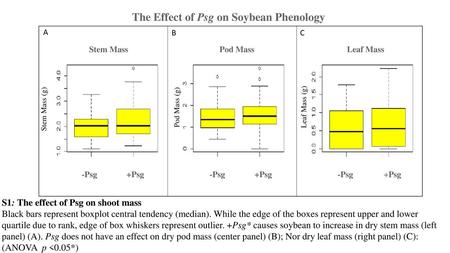 The Effect of Psg on Soybean Phenology