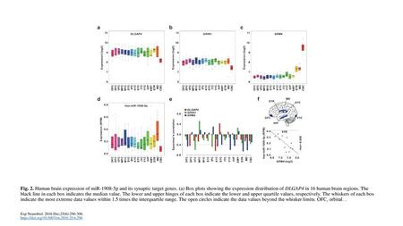 Fig. 2. Human brain expression of miR p and its synaptic target genes