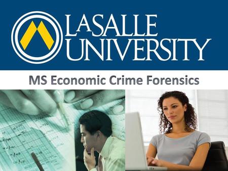 MS Economic Crime Forensics