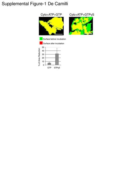 Supplemental Figure-1 De Camilli