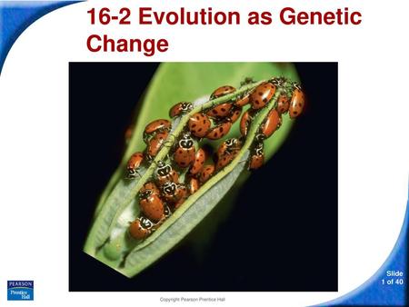 16-2 Evolution as Genetic Change