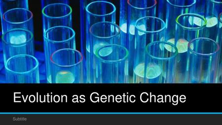 Evolution as Genetic Change