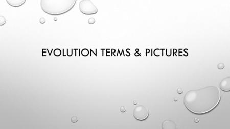 Evolution terms & Pictures