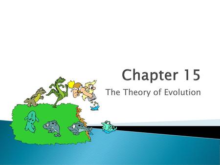 The Theory of Evolution