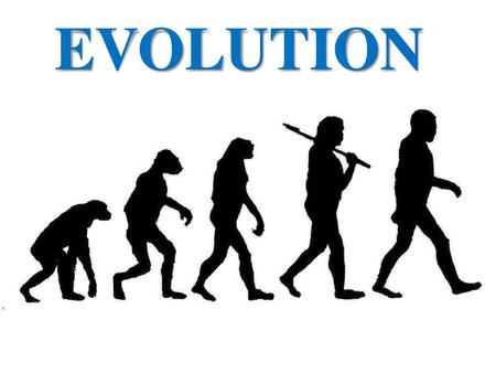 EVOLUTION.