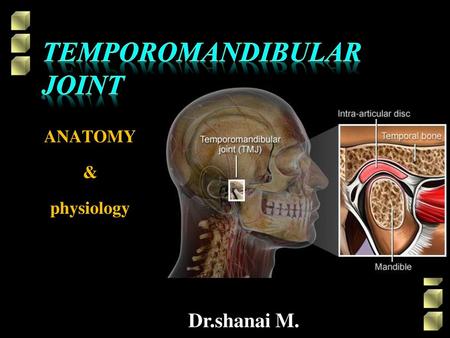 TEMPOROMANDIBULAR JOiNT