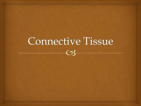 Connective Tissue.