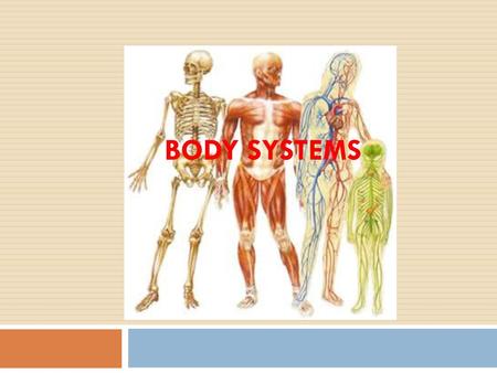 Body Systems.