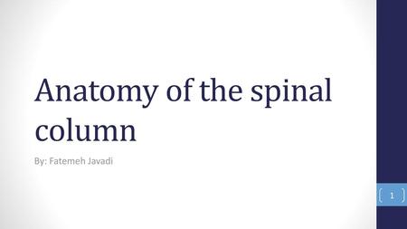 Anatomy of the spinal column