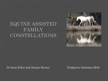 EQUINE ASSISTED FAMILY CONSTELLATIONS