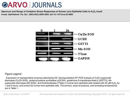 Invest. Ophthalmol. Vis. Sci ;44(5): doi: /iovs Figure Legend: