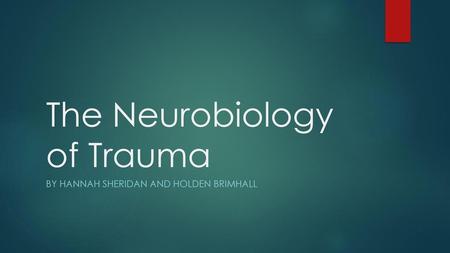 The Neurobiology of Trauma