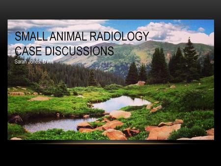 SMALL ANIMAL RADIOLOGY CASE DISCUSSIONS