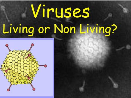 Viruses Living or Non Living?