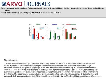 From: Systemic and Intravitreal Delivery of Dendrimers to Activated Microglia/Macrophage in Ischemia/Reperfusion Mouse Retina Invest. Ophthalmol. Vis.