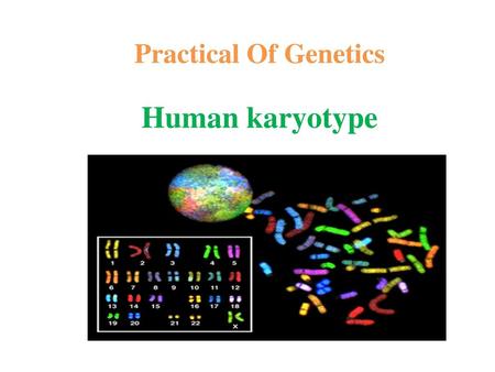 Practical Of Genetics Human karyotype.