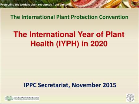 The International Plant Protection Convention