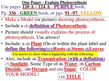 One Pager - Explain Photosynthesis