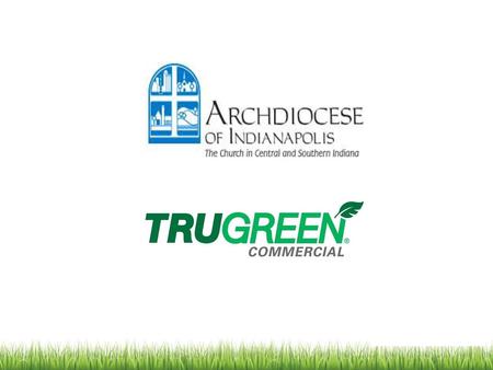 Thank you for your time and giving TruGreen the opportunity to discuss your lawn care. We believe TruGreen can offer many solutions to greatly benefit.