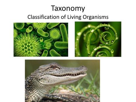 Classification of Living Organisms