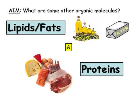 AIM: What are some other organic molecules?