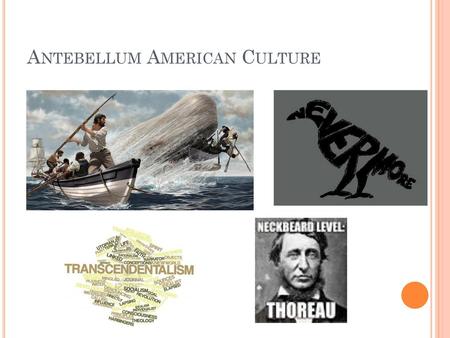 Antebellum American Culture