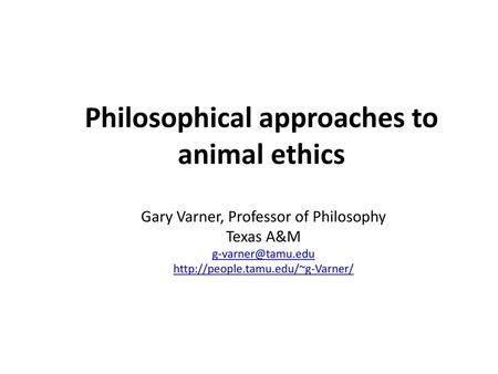 Philosophical approaches to animal ethics